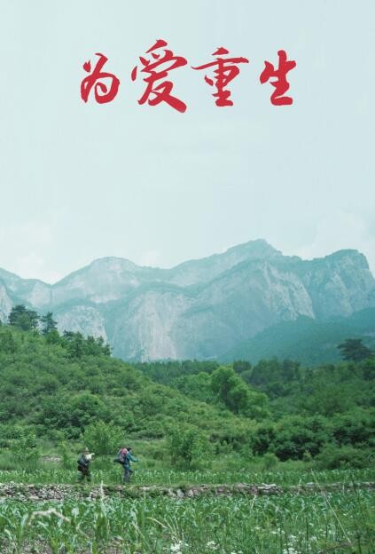 《为爱重生》百度云电影-在线观...